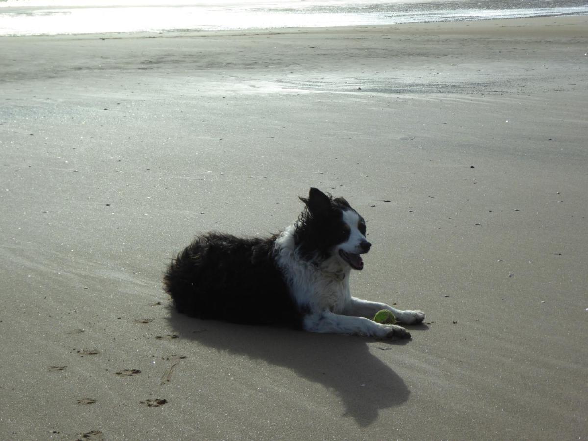 Bridlington'S Bolt Hole Chalet Eksteriør bilde